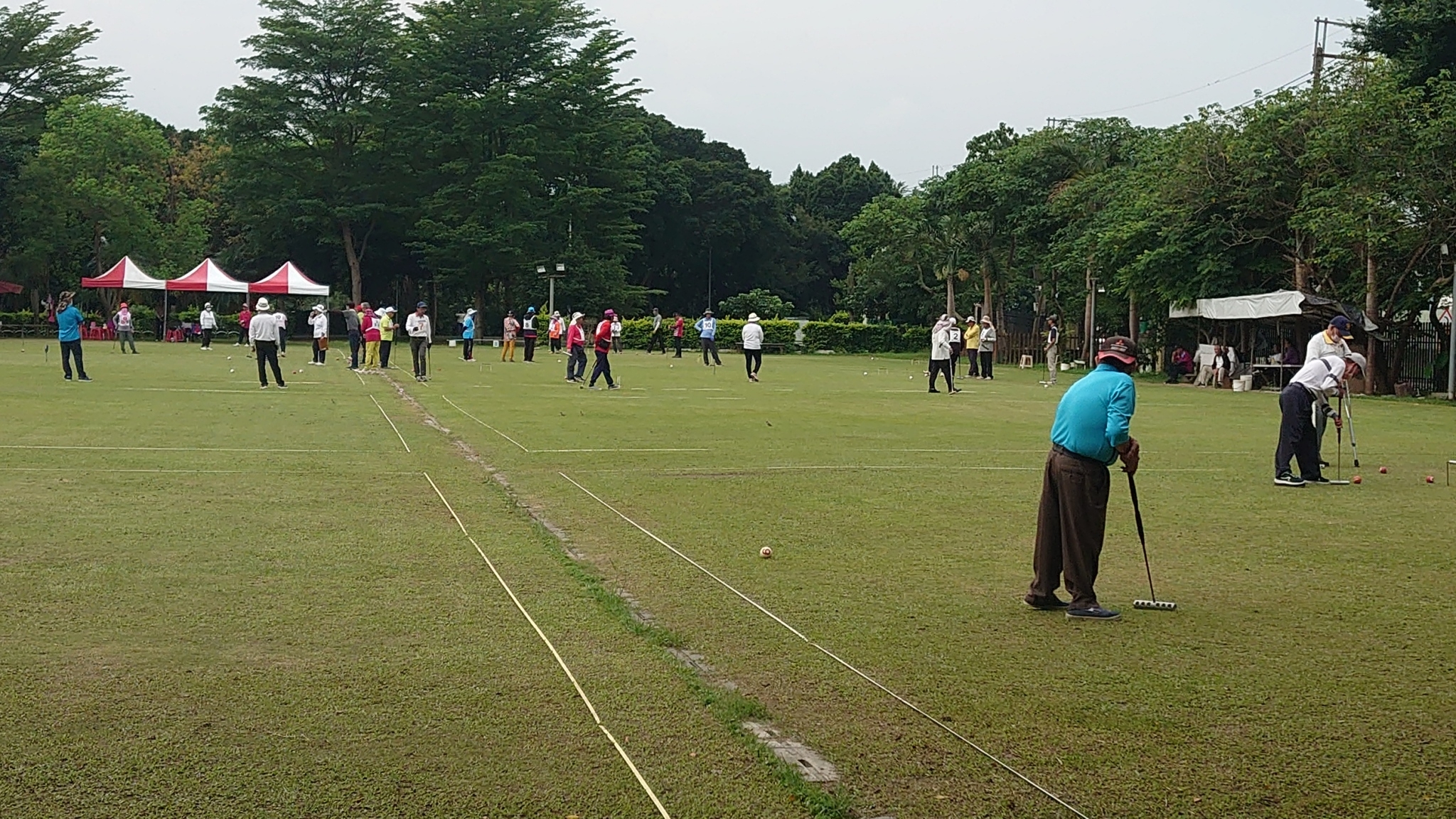 LINE_ALBUM_1130504全民運槌球選拔_240506_2.jpg
