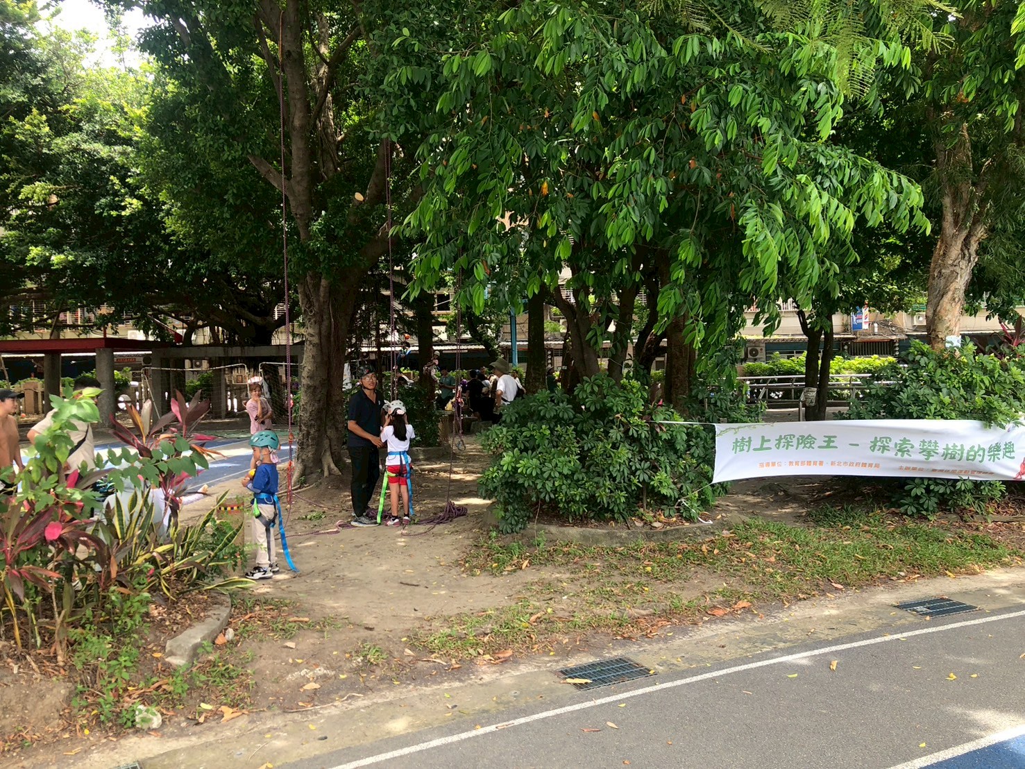 1140629-樹上探險王-探索攀樹的樂趣