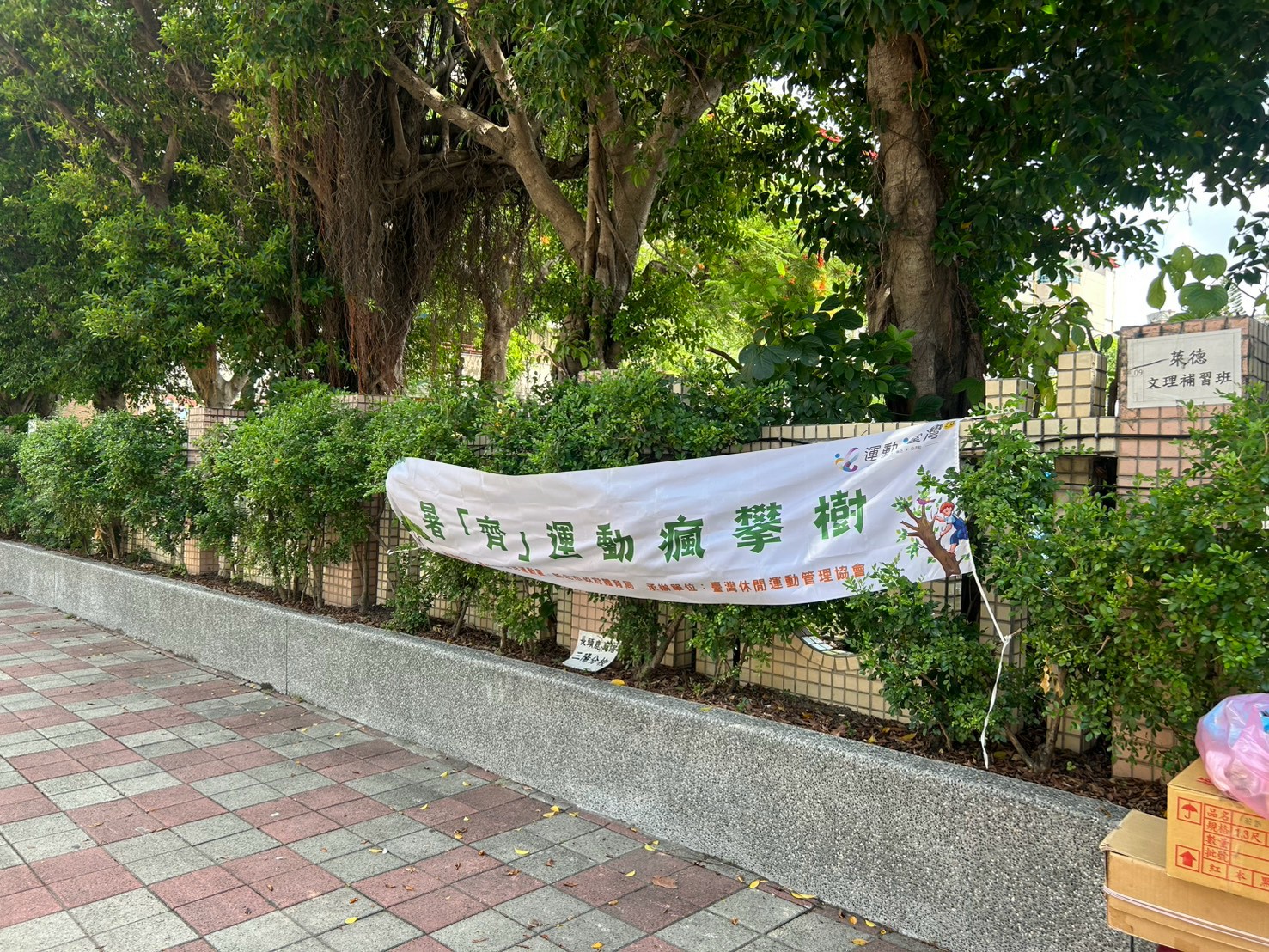 115.08.16-暑齊瘋爬樹
