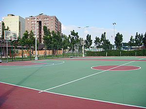 樹林籃球場照片